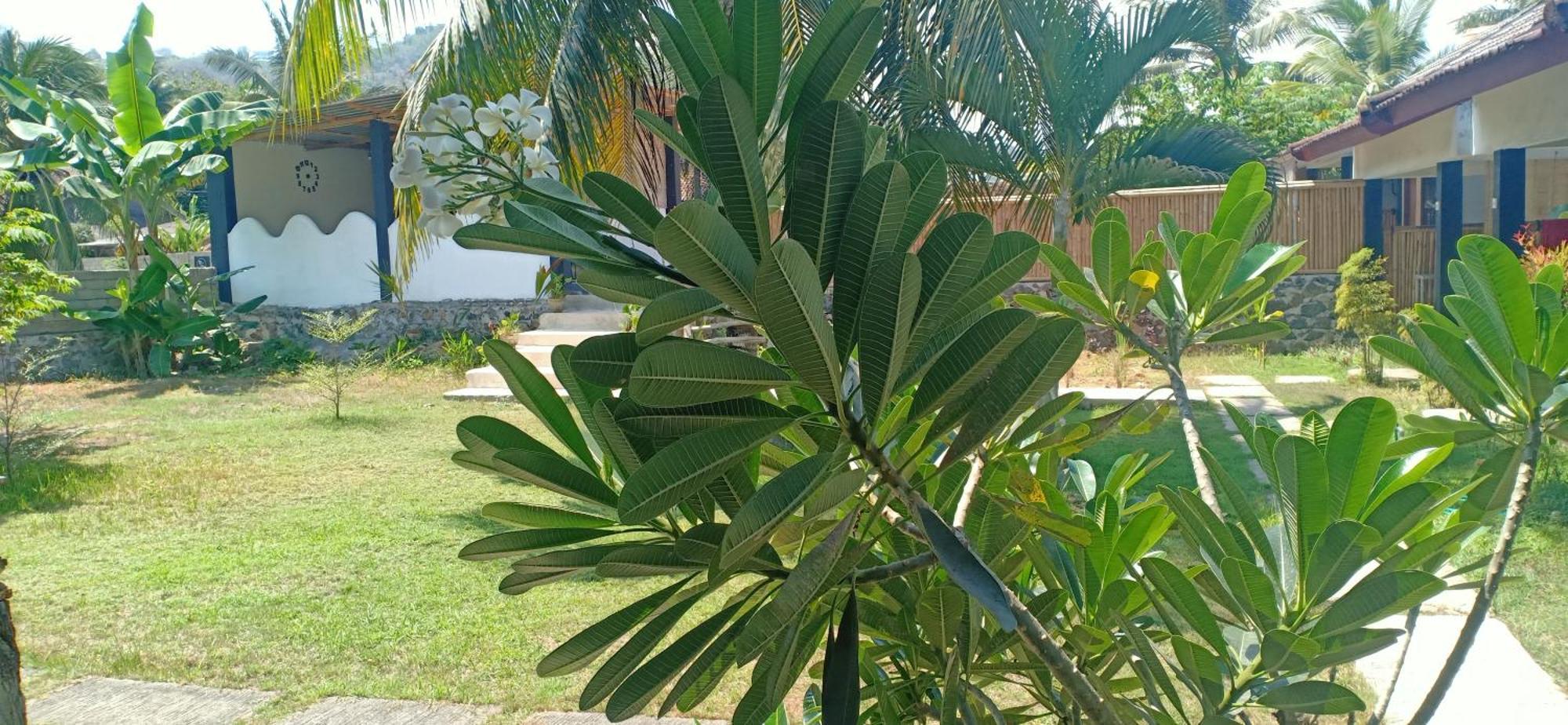 Dewi Garden Guesthouse Kuta  Exteriér fotografie